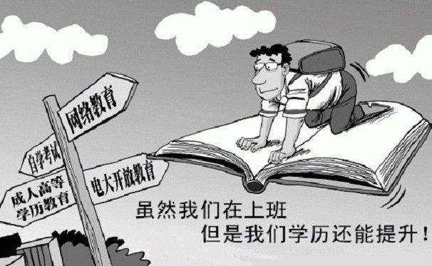 网络教育