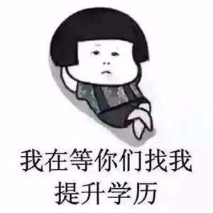 网络教育