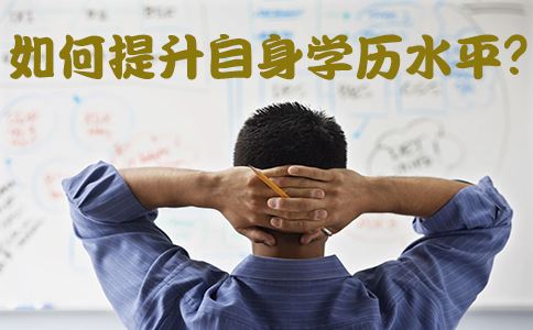 网络教育